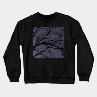 Nightfall Crewneck Sweatshirt